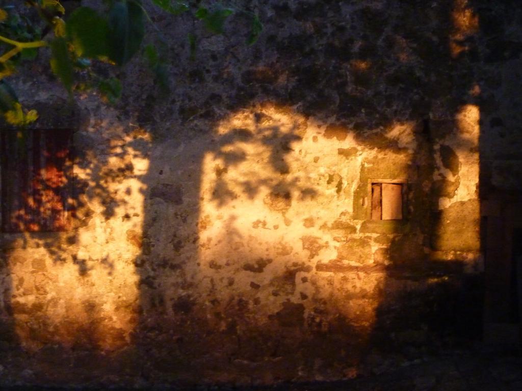Au Bonheur D'Alphonse Bed & Breakfast Lusignan-Petit Dış mekan fotoğraf