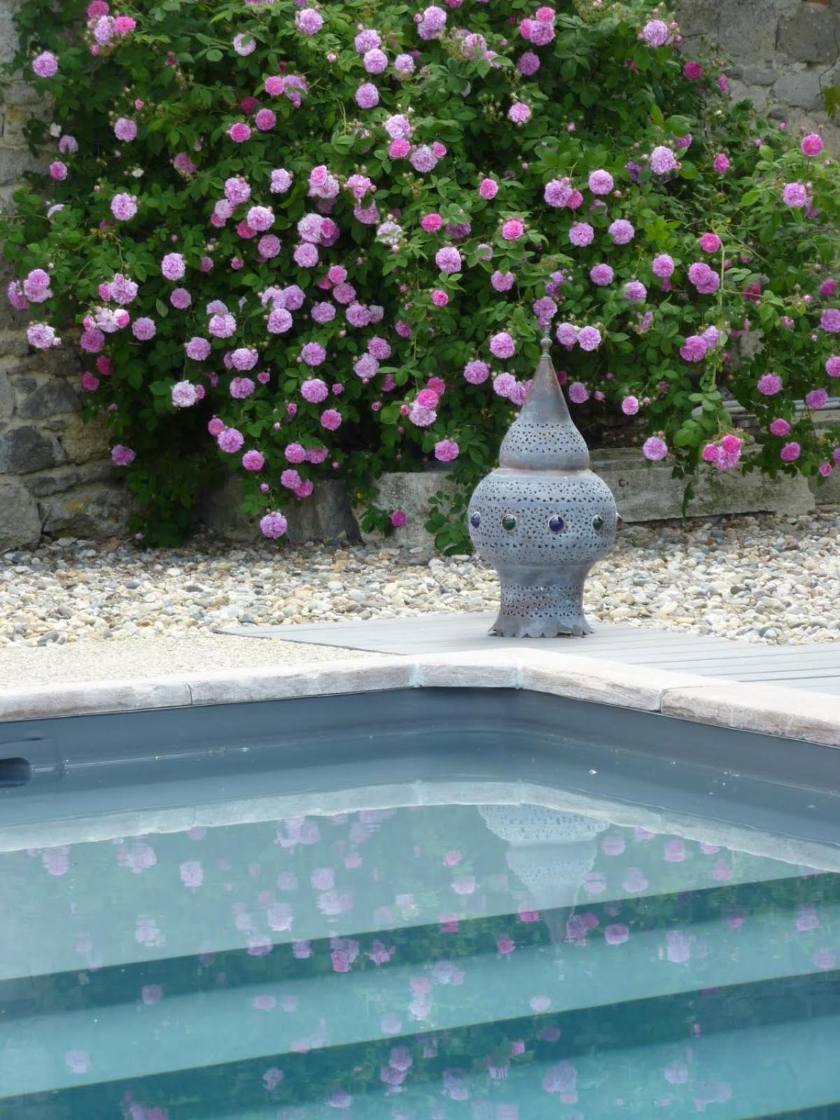 Au Bonheur D'Alphonse Bed & Breakfast Lusignan-Petit Dış mekan fotoğraf
